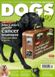 Dogs today cover